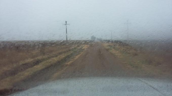 Fin de semana de lluvias para recomponer el estado del trigo y la cebada en muchas regiones productivas