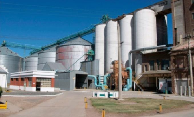 Cajas negras en la industria molinera: buscan controlar una evasión de $5.000 millones