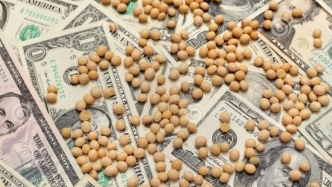El campo generaría U$S 9.300 millones más que en la última cosecha con sequía