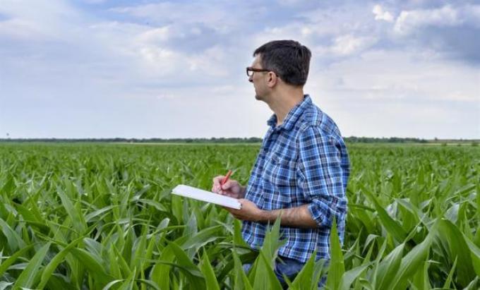 Según un estudio, los jóvenes de la ciudad conocen poco y nada sobre el campo