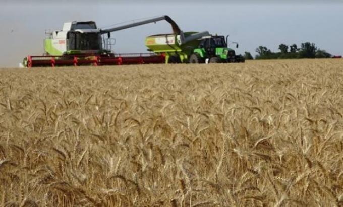 Trigo: en la zona núcleo habrá el mismo volumen que en el 2017