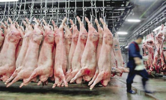 Según el USDA, la producción de carne de cerdo en Argentina crecerá un 32% en 7 años