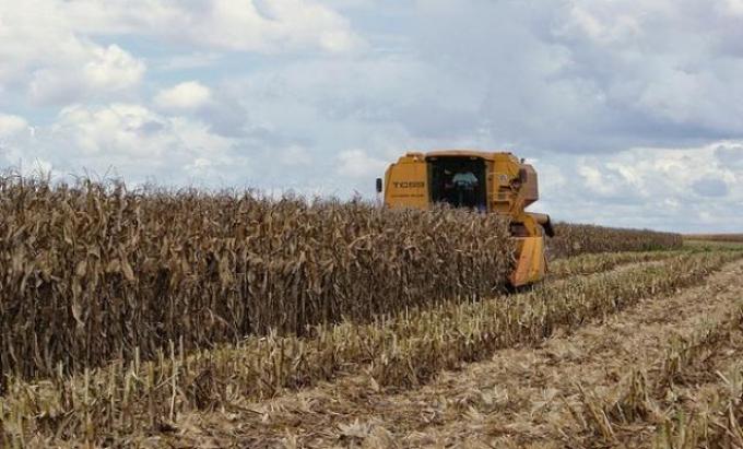 Revalúo y financiamiento: un puente para las empresas agro
