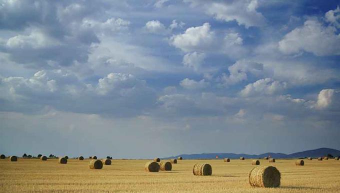 Clima: “El trigo ya lo está sufriendo; la soja y el maíz también serán afectados”
