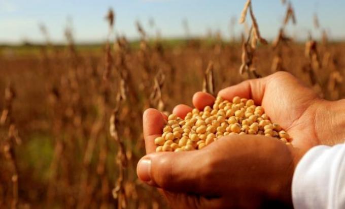 Advierten que se pierden 8 millones de toneladas de alimentos en la cadena productiva