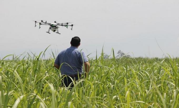 Productores se unen para reducir costos a través de imágenes satelitales