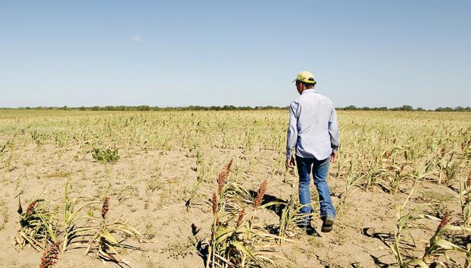 Anunciaron novedades para la línea de crédito a cooperativas en Emergencia Agropecuaria