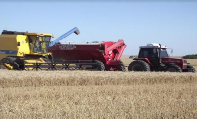 La transformación de los agronegocios: un cambio que alcanza a muchos eslabones