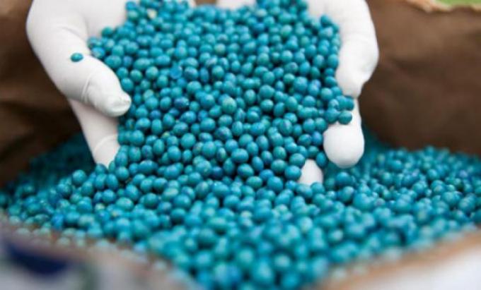 Calidad de soja: ¿Es importante el uso de curasemillas?