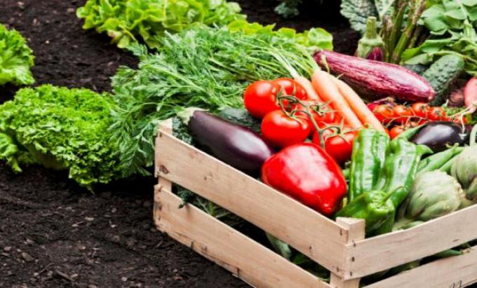 Productores realizan 1.000 ferias en todo el país para “visibilizar la crisis de las pymes agropecuarias”