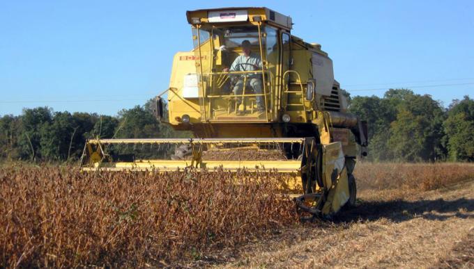 Afirman que fertilizar en soja y maíz es hasta 25% más caro en la campaña 2018/19