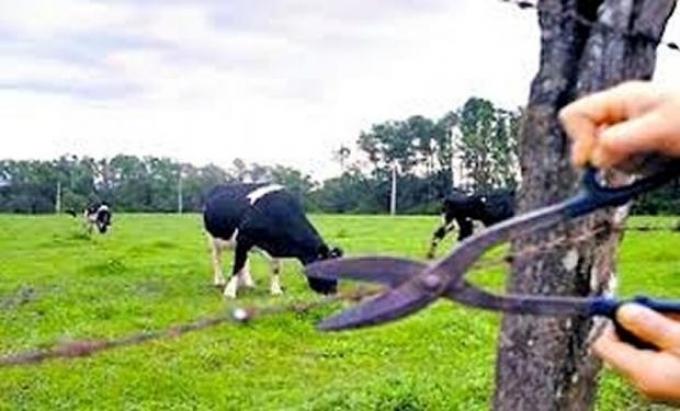Inseguridad Rural: bonaerenses aseguran que es imposible plantear una actividad productiva