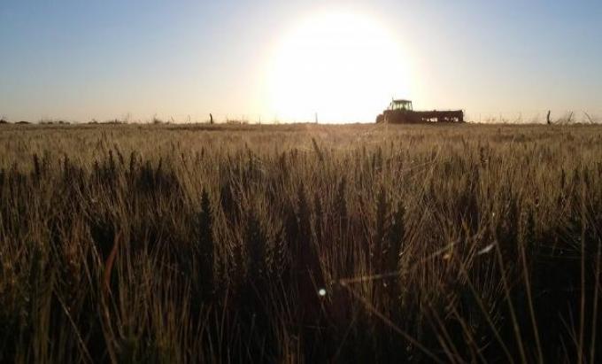 Semana ideal para las labores agrícolas: anticipan varios días sin precipitaciones
