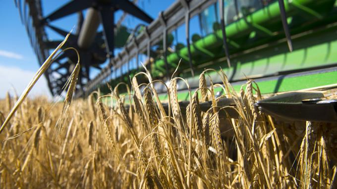 Entre Ríos: avanza la cosecha de trigo