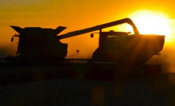 La soja volvió a subir a la espera de medidas concretas en torno a la guerra comercial