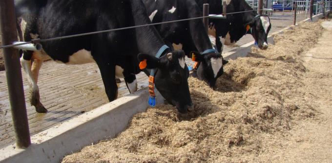 El gobierno bonaerense convocó a pymes lácteas a presentar propuestas para mejorar su eficiencia