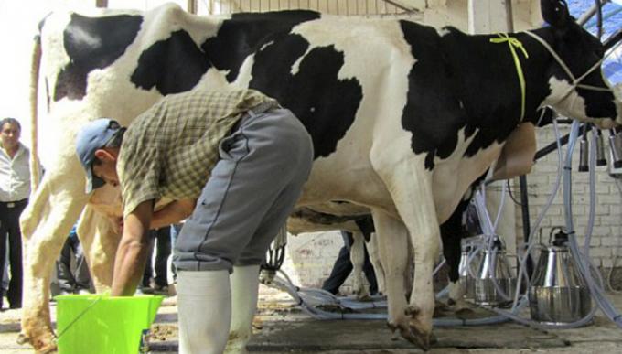 Los tambos que no estén inscriptos al RENSPA no podrán operar