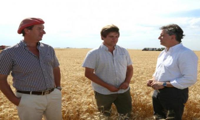 Etchevehere al recorrer un campo de Pehuajó: "Se está dando la revancha del trigo"