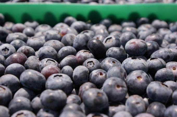 Se unieron las entidades que representan a todo el sector frutícola argentino para solicitar la eliminación de las retenciones: “Estamos atravesando una crisis terminal”
