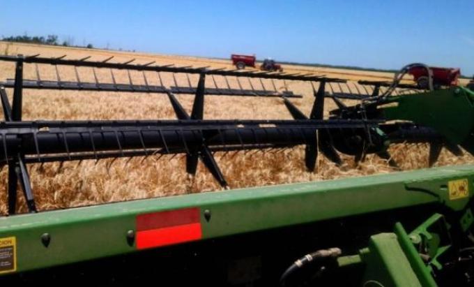 Destacan la buena calidad panadera del trigo en el norte de Buenos Aires