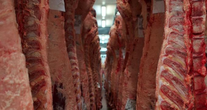 Proyectan que el país estará entre los cinco primeros exportadores de carne en 2019