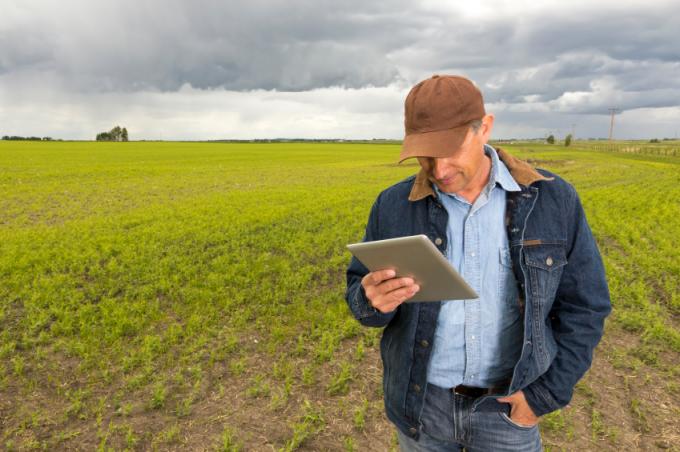 Tablero de riesgo agrícola. ¿Cuánto estás dispuesto a perder si las cosas salen mal?