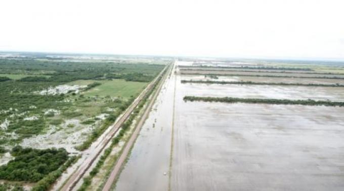 Aseguran que por las inundaciones se perdieron las cosechas de maíz, girasol y algodón en Santa Fe