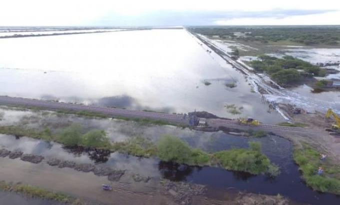 Estiman que 2,4 millones de hectáreas de soja se encuentran afectadas por excesos