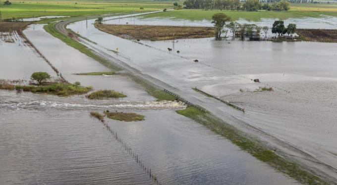 Pese a la inundación, la cosecha aportará US$ 28.000 millones a la economía