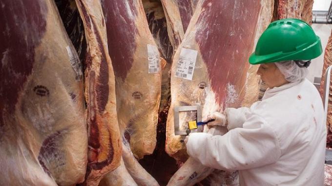 Se habilitaron las primeras 5000 toneladas del cupo de exportación de carne vacuna a EE.UU bajo el criterio “primero llegado, primero servido”