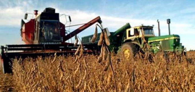 China redujo sus compras de soja a Argentina y Estados Unidos