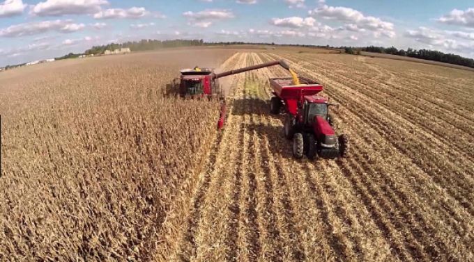 Campaña agrícola con consecuencias por los excesos hídricos en Santa Fe, en algunas zonas comenzó la cosecha de maíz de primera y arroz