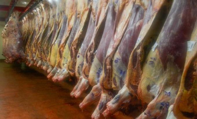 Suspendieron a más de 30 operadores de faena