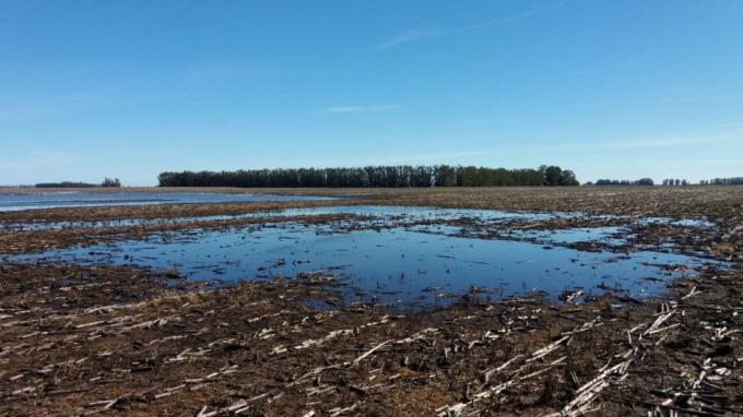 Santa Fe presentaría una leve mejoría en los suelos tras el temporal