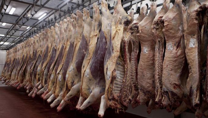 Aseguran que los cambios en el mercado ganadero y la situación económica complican a los frigoríficos