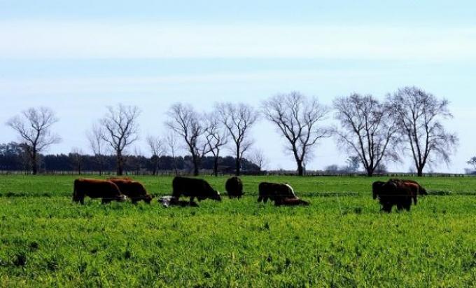 La necesidad de integrar la agricultura con la ganadería
