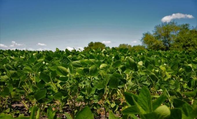 La reposición de nutrientes superó el 100% en Entre Ríos durante la última campaña