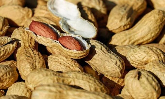 Crearon una semilla resistente a la enfermedad que ataca al maní 