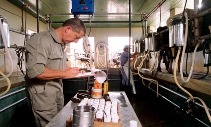 Desarrollaron un método para identificar la "huella dactilar" de la leche argentina