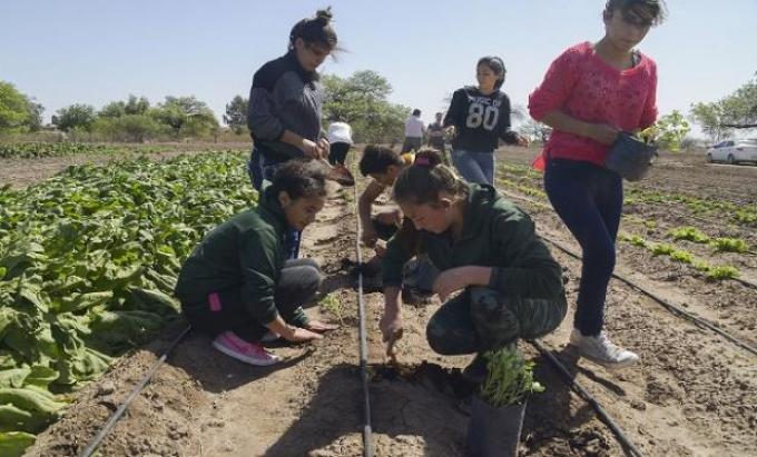 Escuelas rurales: dar clases frente a todo pronóstico