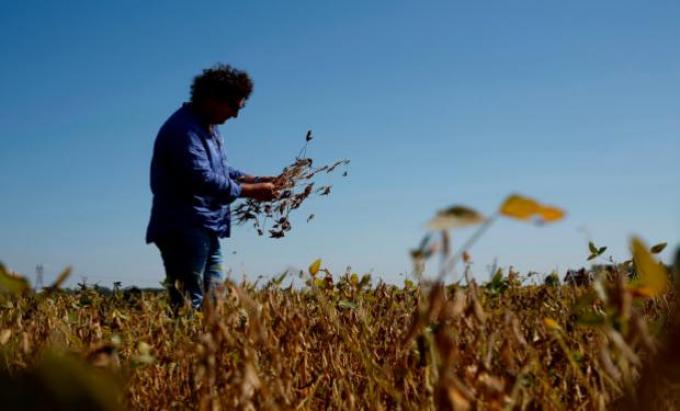 "Debemos planificar el año impositivo, como se hace con la producción"