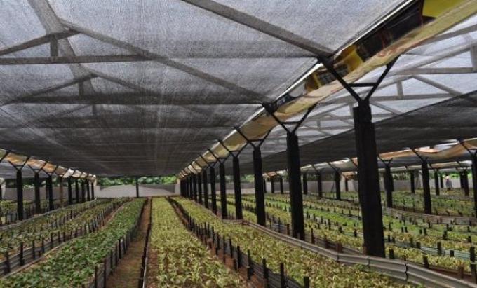 La plasticultura en Argentina: más productividad y menor consumo de recursos