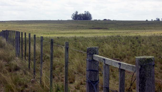 Logran crear una ley que prohíbe el uso de madera de bosques nativos para construir alambrados
