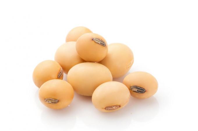 Califican de "trastorno administrativo" una norma sobre la compraventa de granos