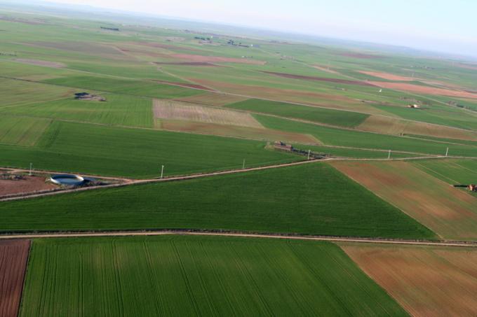 Censo Agropecuario: 236 mil establecimientos y 195 millones de hectáteras