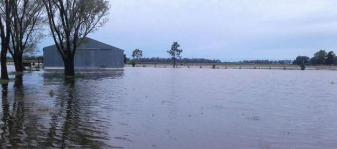 Más de 200 mm y campos otra vez anegados en Chaco, Santa Fe y Santiago del Estero.