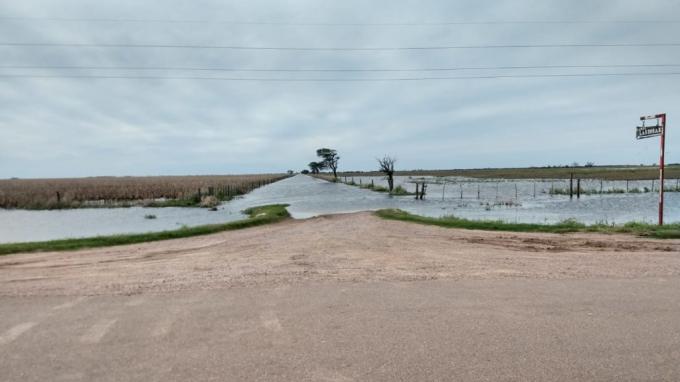 Por el cambio climático una zona que surgió con la soja ahora vive del trigo: igual este año no saben si podrán sembrarlo debido a las inundaciones