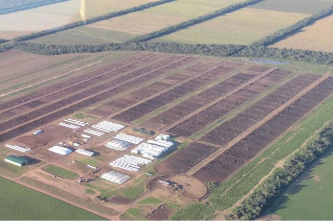 Con foco en un proyecto ganadero, una firma de Salta recibió US$30 millones del BID y el Rabobank