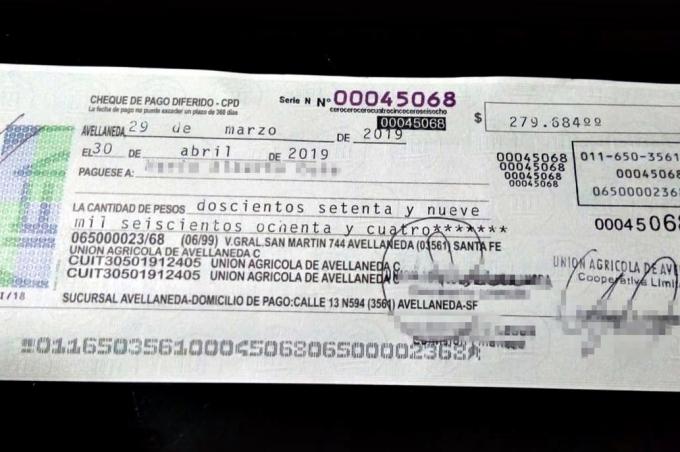 Denuncian que falsificaron cheques de una de las cooperativas agrícolas más grandes del país