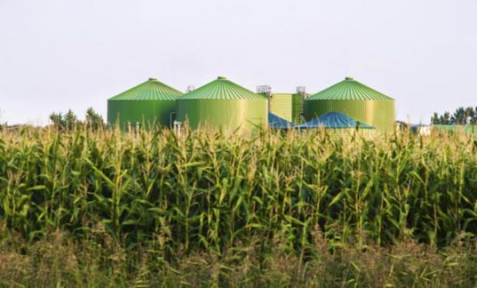 Economía circular: un concepto que integra campo, ciudad y ambiente